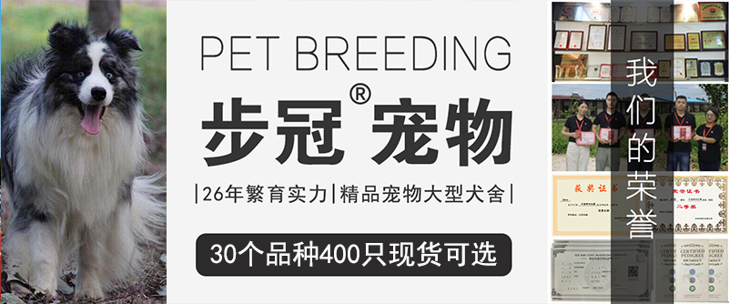 待售品种
