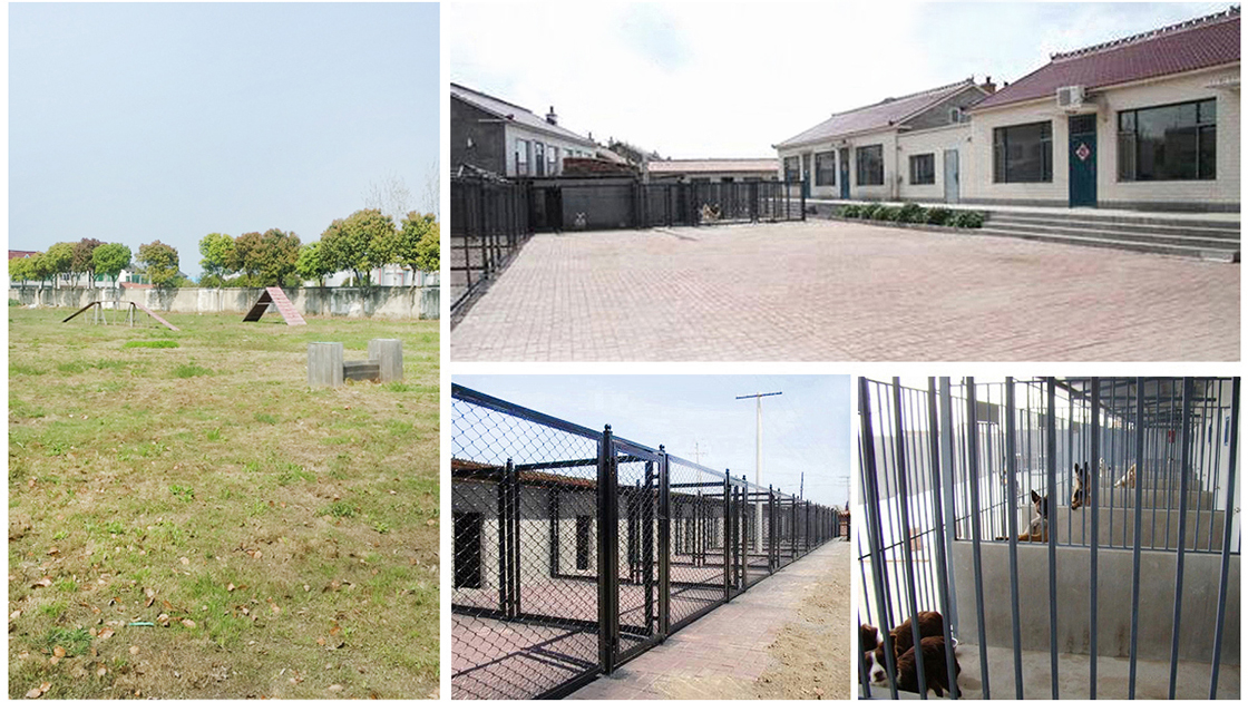 上海犬舍步冠养狗场(宠物繁育基地)